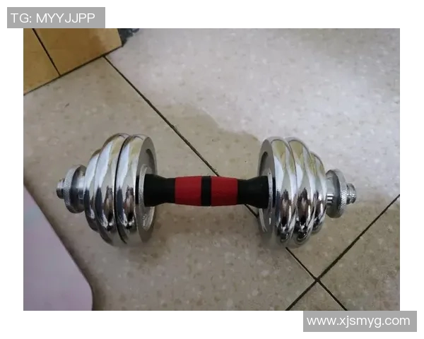 肌肉训练健身器材:锻炼肌肉的专业设备推荐 肌肉训练健身器材:锻炼肌肉的专业设备推荐