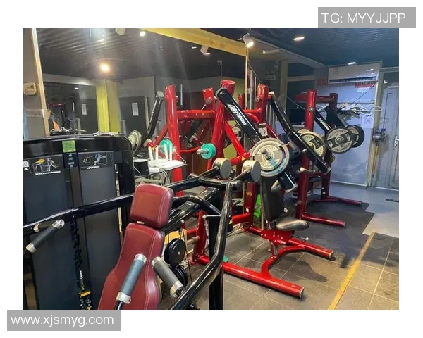 综合健身器材品牌推荐:多功能设备让健身更高效 综合健身器材品牌推荐:多功能设备让健身更高效