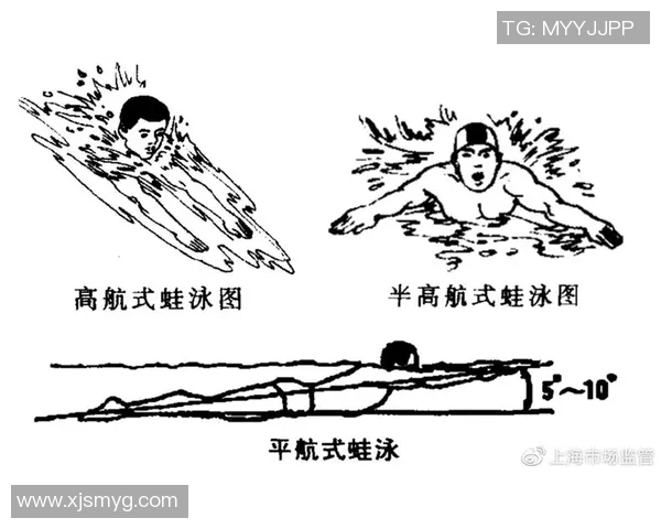 蛙泳基本动作解析与技巧提升：从入门到精通的全方位指导