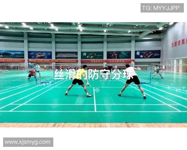 南京羽毛球队区域防守策略分析与战术解读探讨
