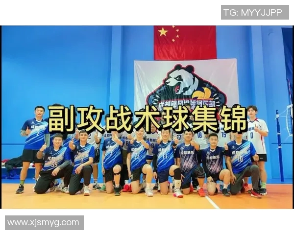 北京排球队的战术解析与控制体系探讨